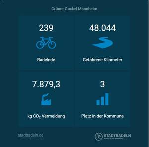 Screenshot der Ergebnisse des Stadtradelns Team Grüner Gockel Mannheim